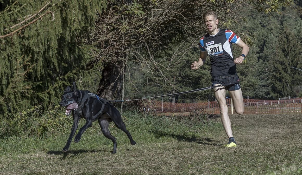 Ben Robinson junto con su perro en una competición | Robinson Canicross