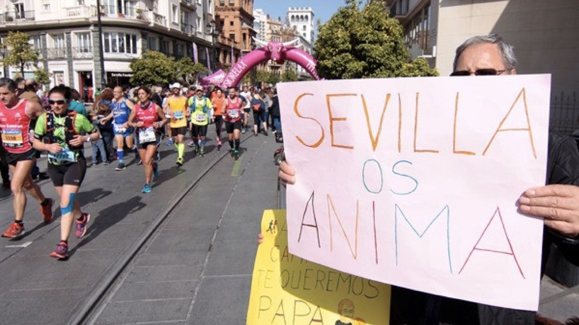 Ultimo día para apuntarse a precio de oferta al Zurich Maratón de Sevilla