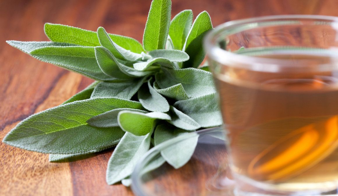 Salvia para aliviar los dolores menstruales