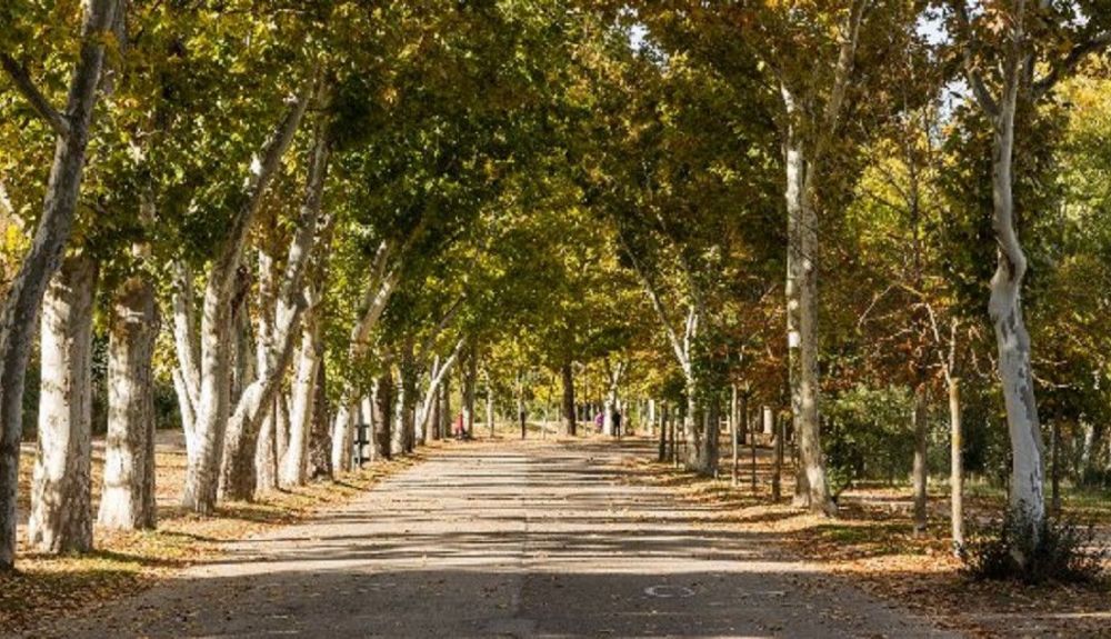 Una imagen de la casa de Campo de Madrid vacía. Foto: soycorredor.es