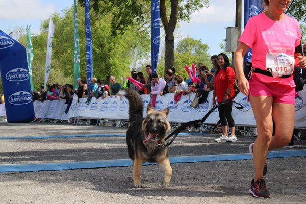 Carrera de la Mujer Central Lechera Asturiana de Vitoria (GALERÍA 9)