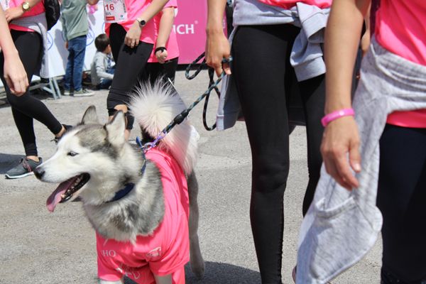 Carrera de la Mujer Central Lechera Asturiana de Vitoria (GALERÍA 33)