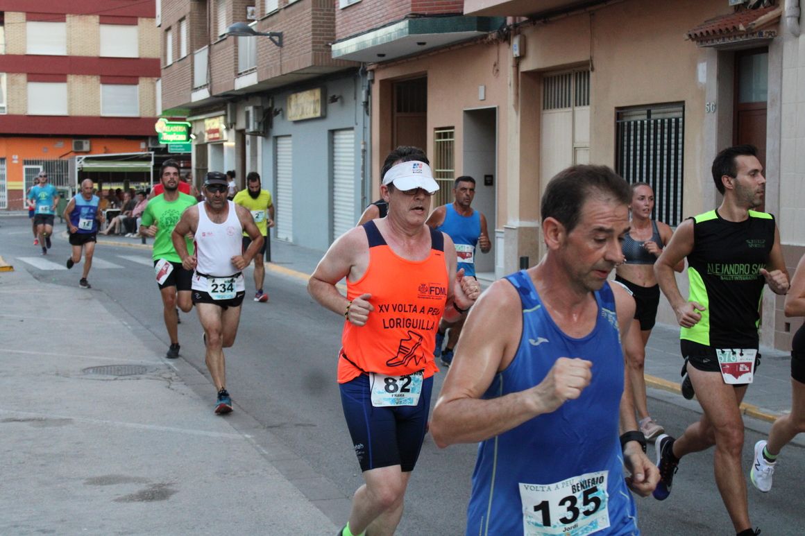 Volta a Peu a Benifaió (Valencia) | GALERÍA 2