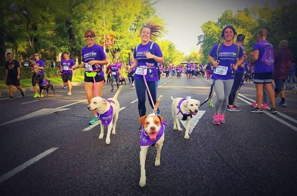 Vuelve el Perrotón, la carrera solidaria por la defensa de los animales de compañía