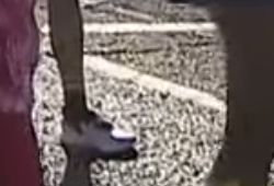 Las zapatillas de New Balance para maratón