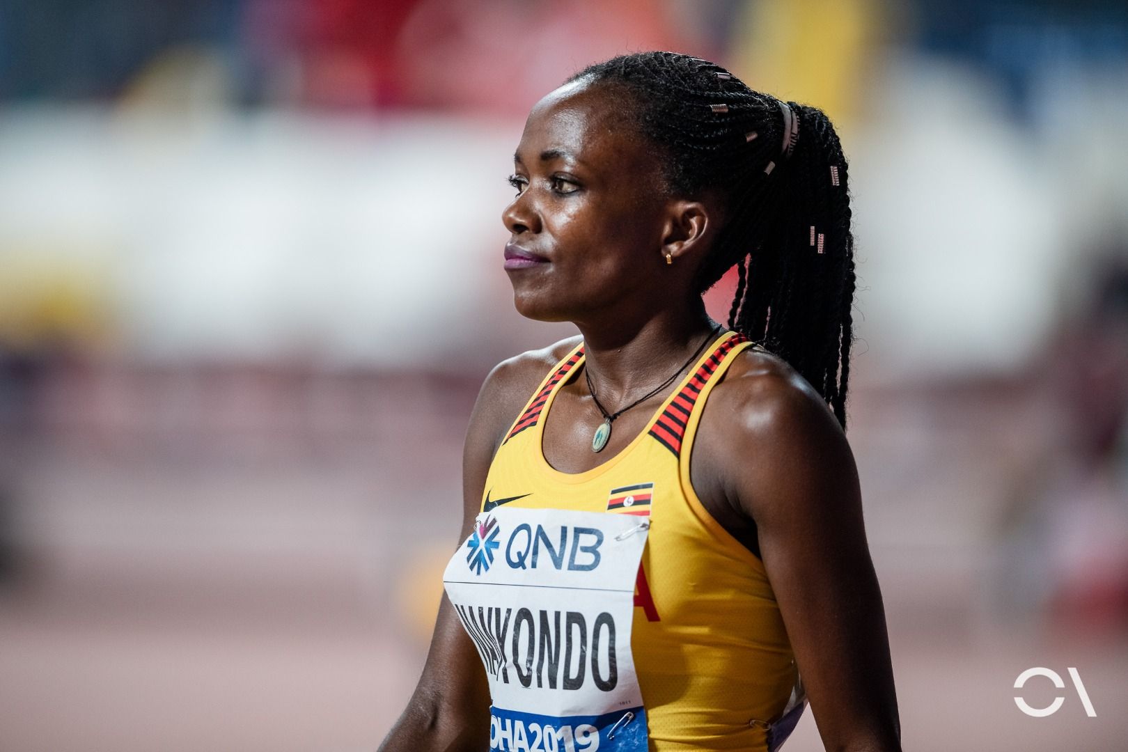 Campeonato del Mundo de Doha | JORNADA 4 (2)