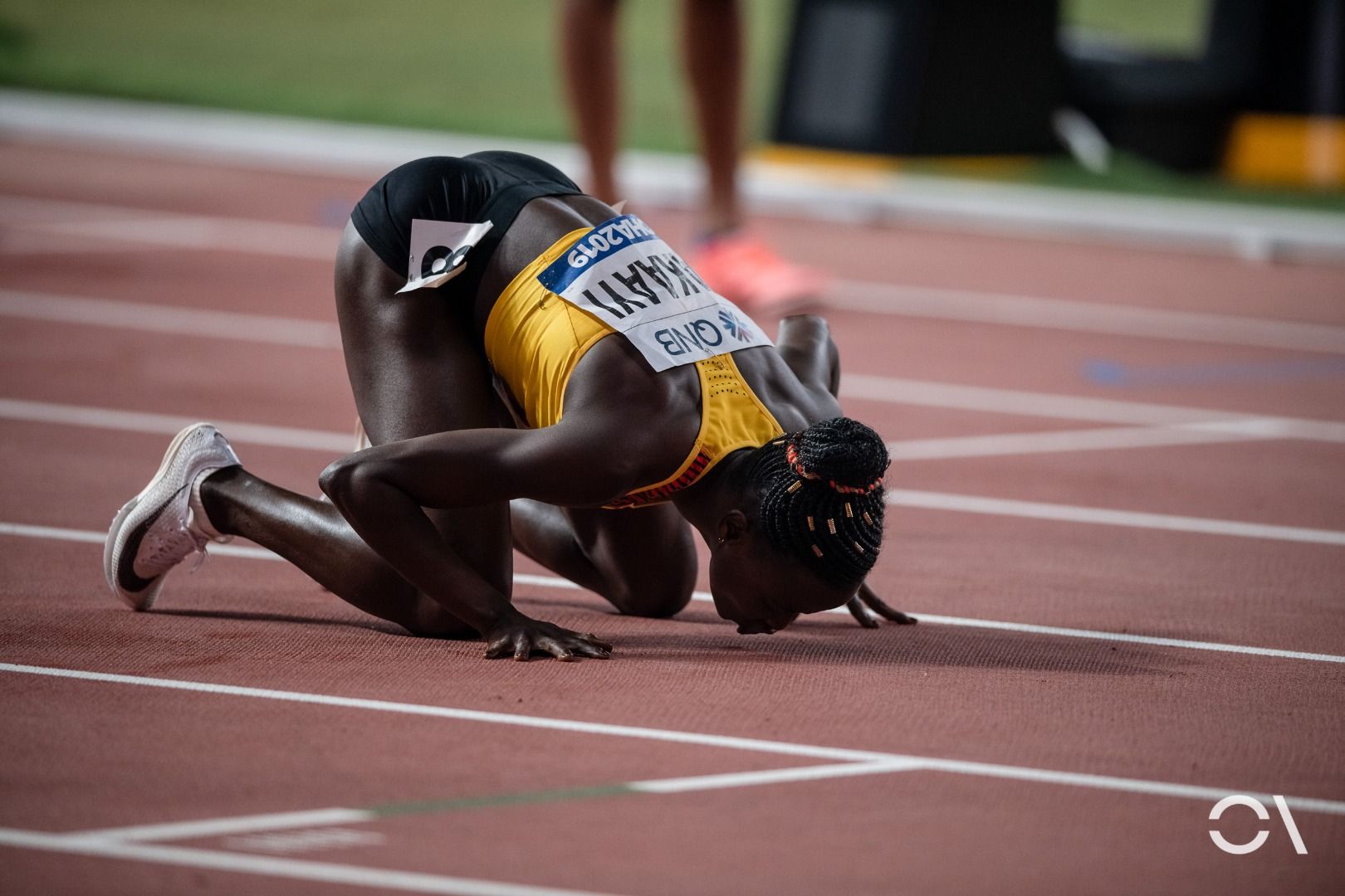 Campeonato del Mundo de Doha | JORNADA 4 (2)