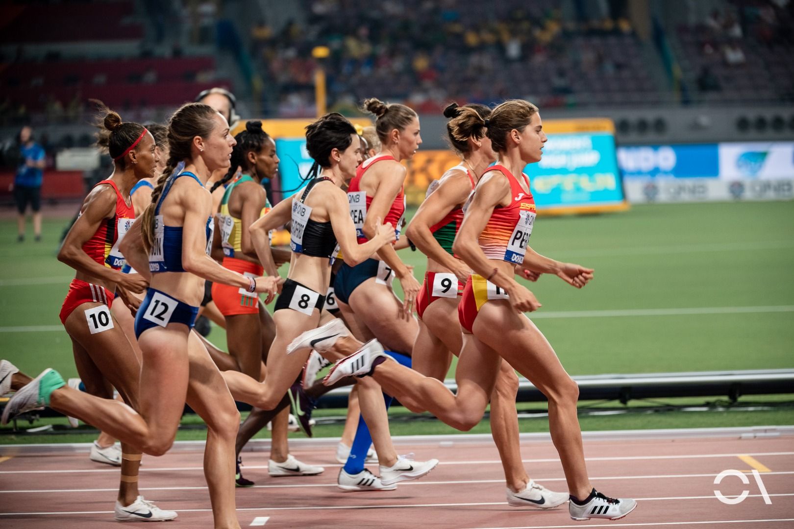 Campeonato del Mundo de Doha | JORNADA 6