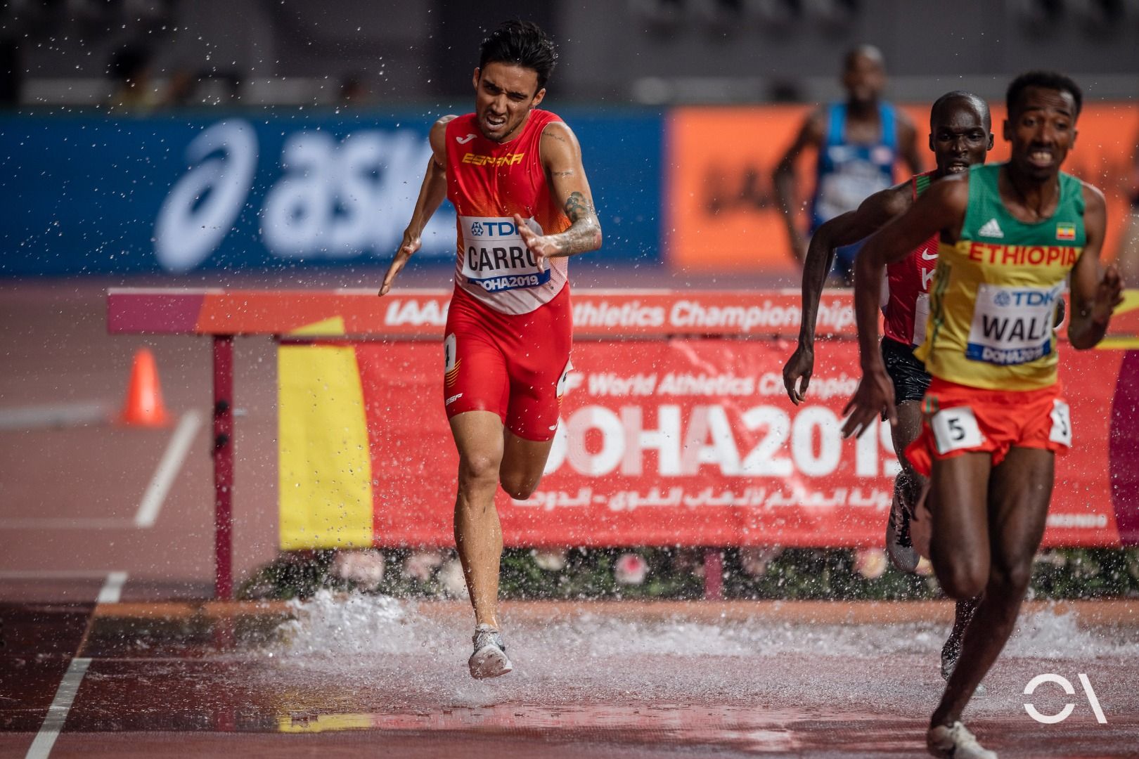 Campeonato del Mundo de Doha | JORNADA 5