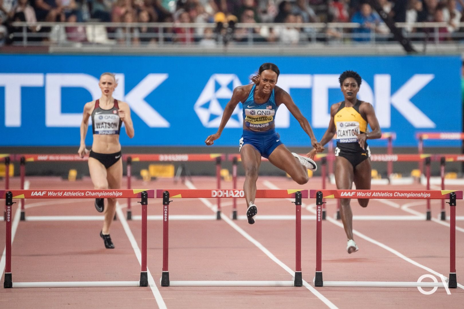 Campeonato del Mundo de Doha | JORNADA 8