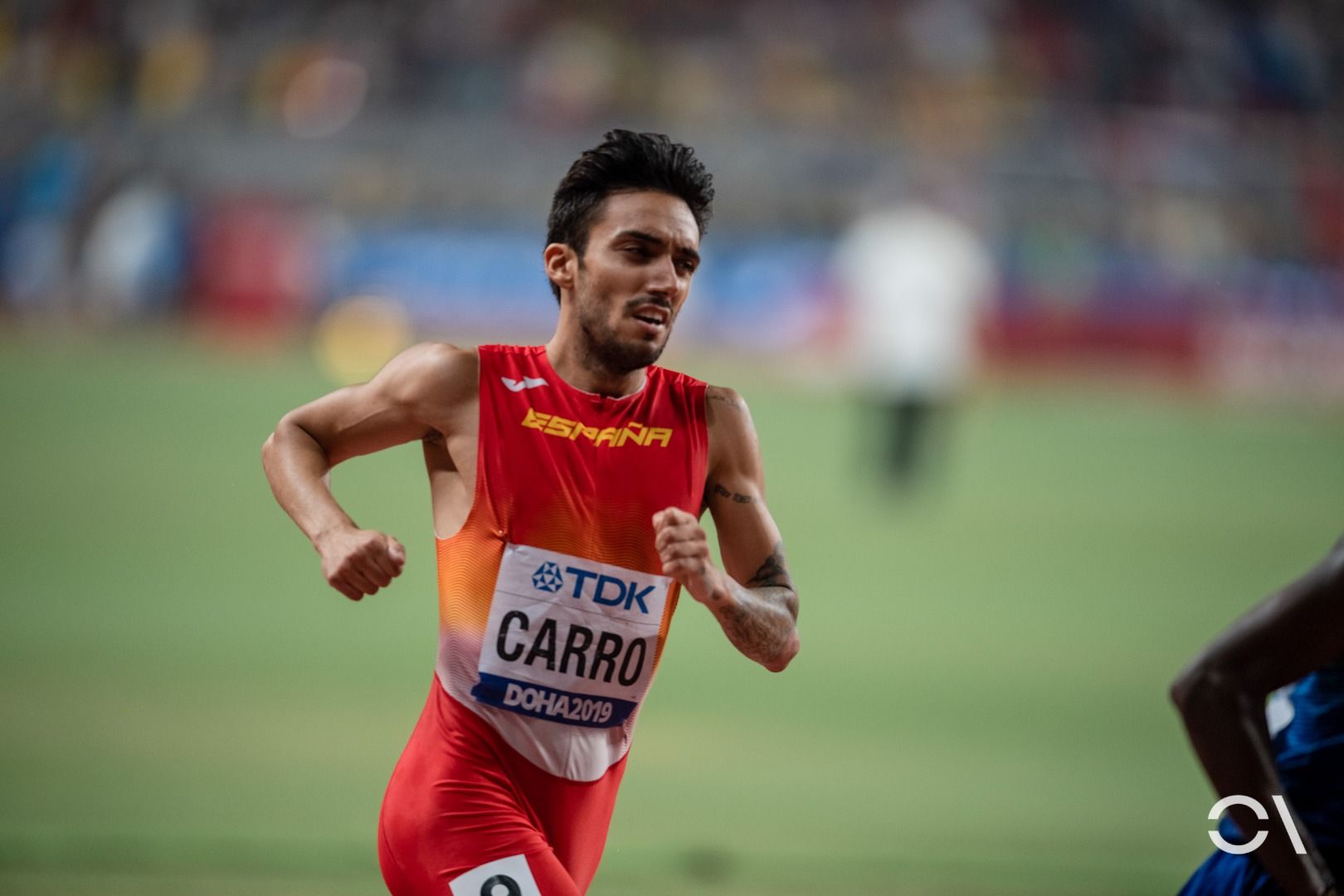 Campeonato del Mundo de Doha | JORNADA 8