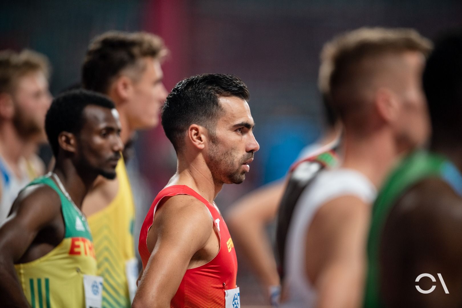 Campeonato del Mundo de Doha | JORNADA 8