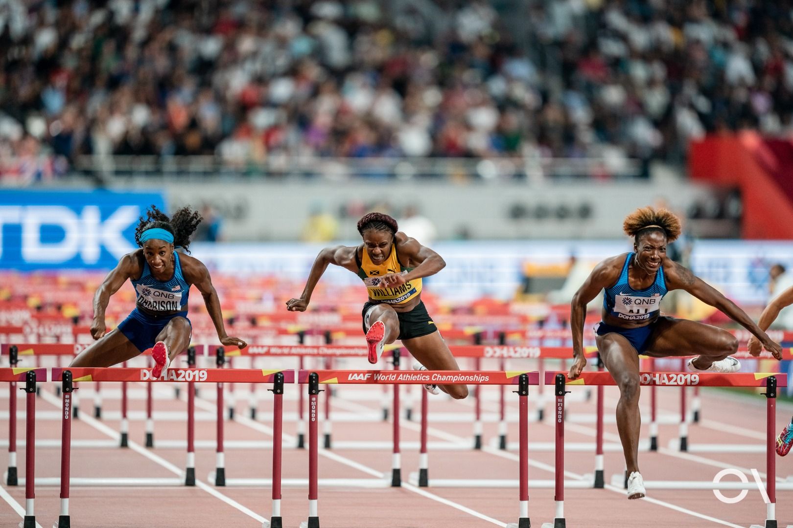 Campeonato del Mundo de Doha | JORNADA 10