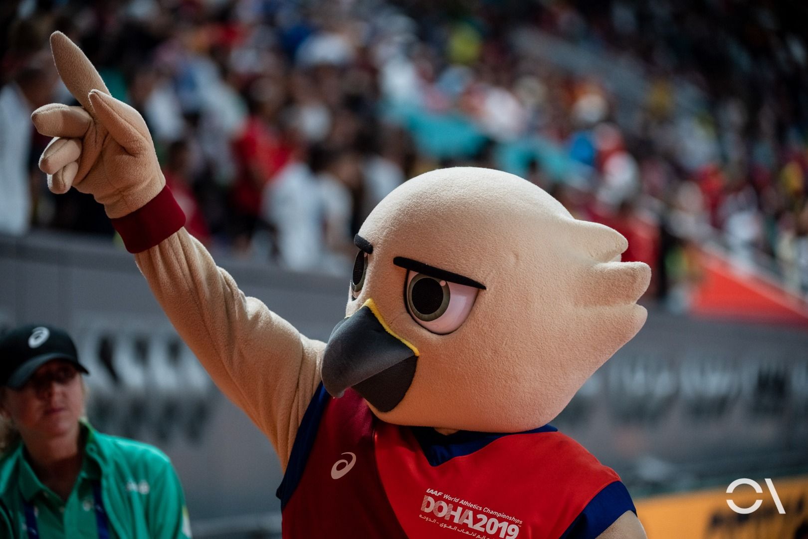 Campeonato del Mundo de Doha | JORNADA 10