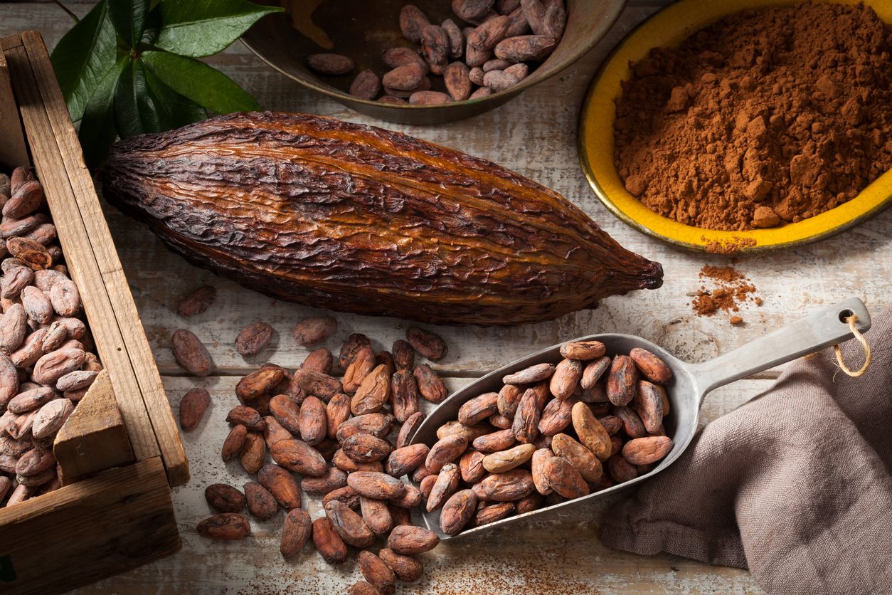 Qué nos aportan los flavonoides del cacao