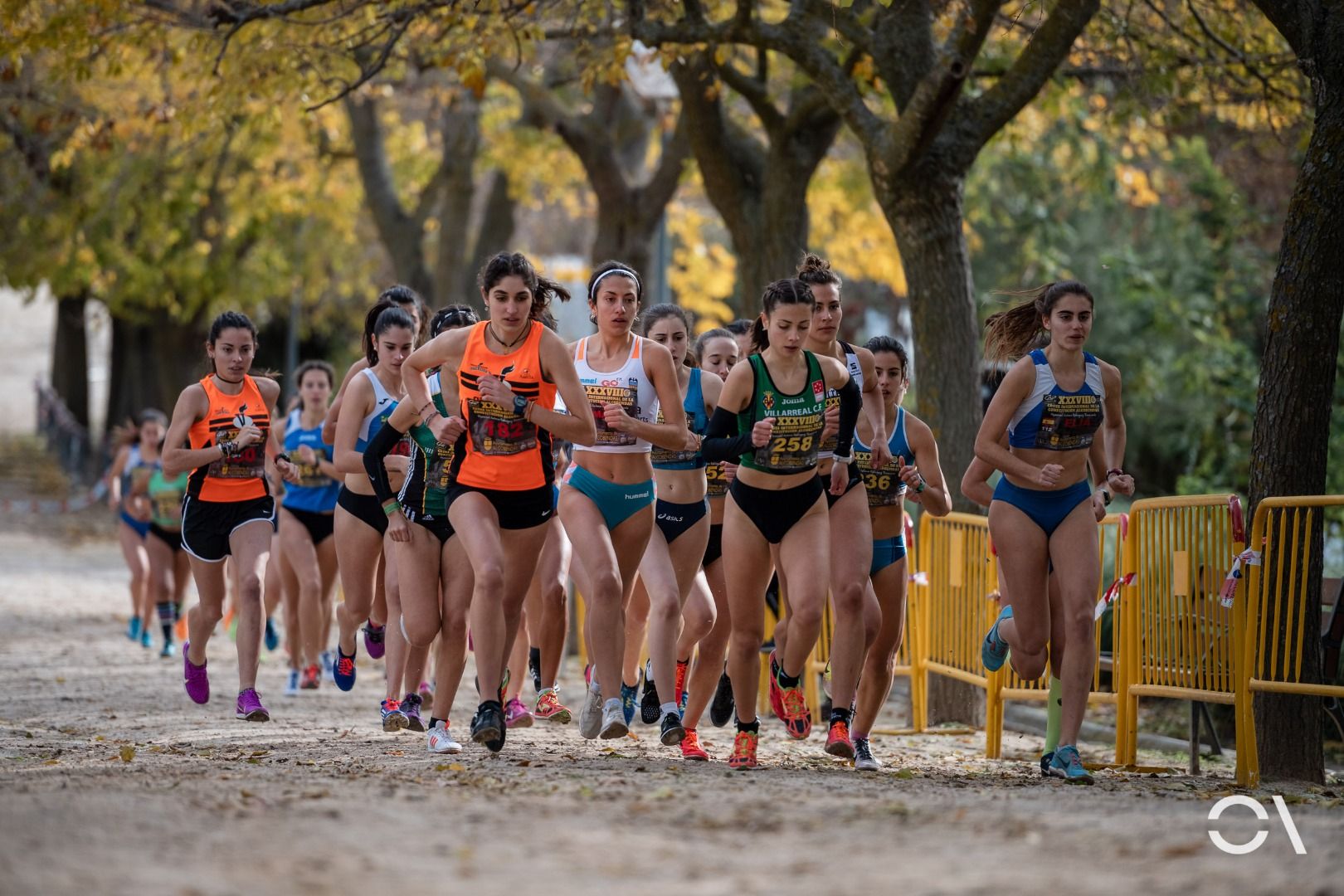 Las mejores fotos del Cross de Alcobendas 2019