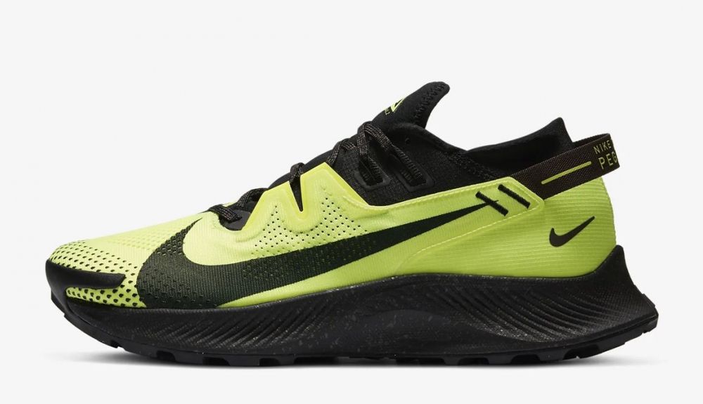 Nike Pegasus Trail 2.