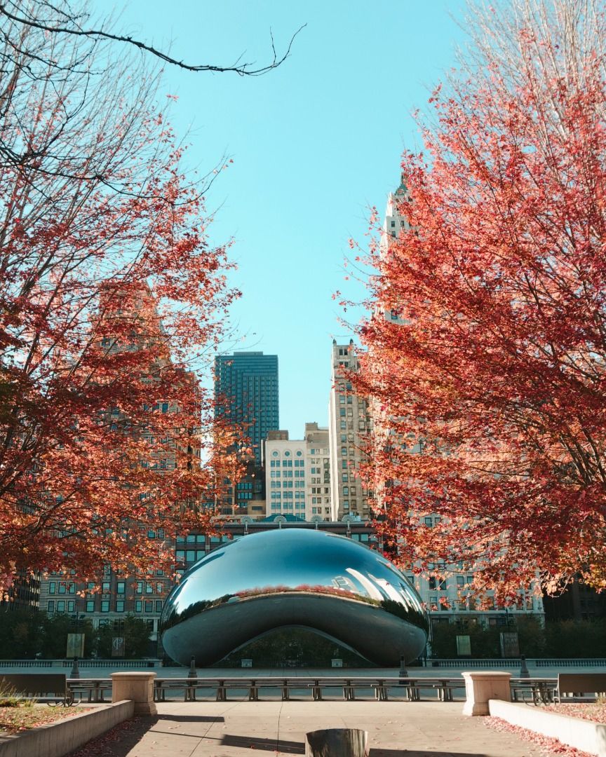Viaja al Maratón de Chicago 2020