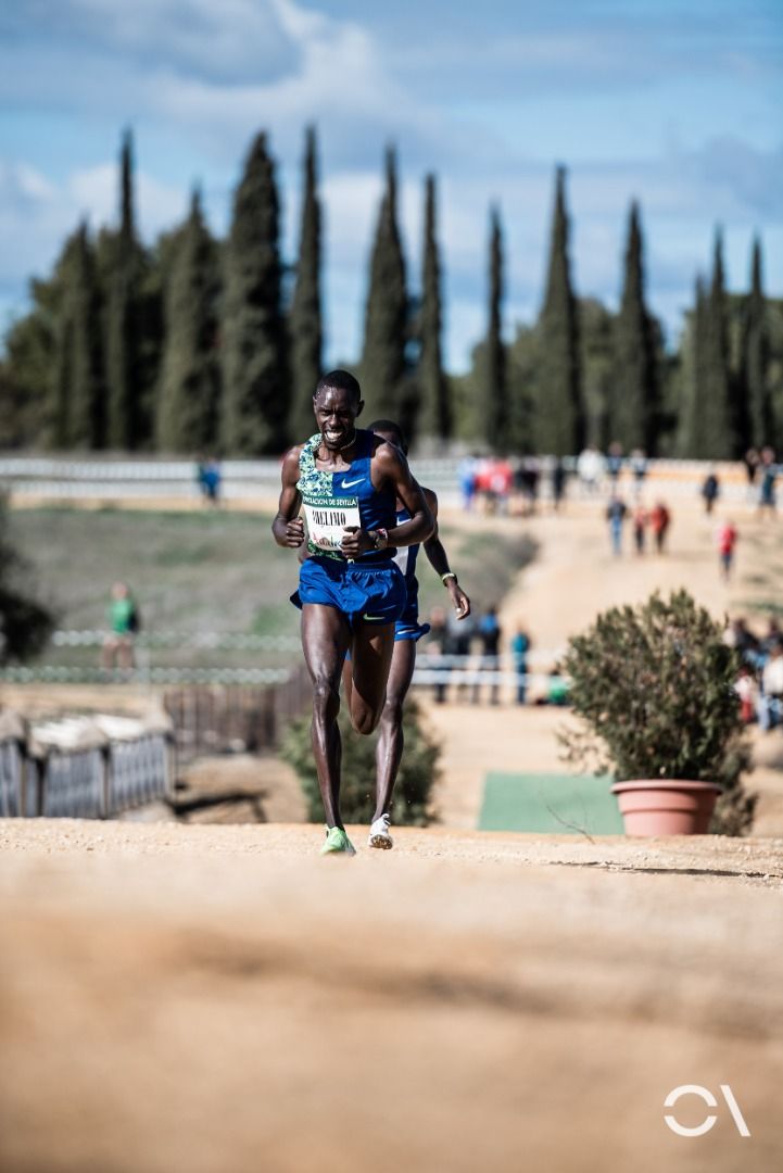 Cross de Itálica 2020 (GALERÍA 2)