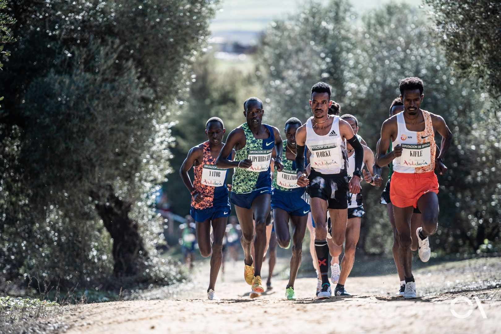 Cross de Itálica 2020 (GALERÍA 1)
