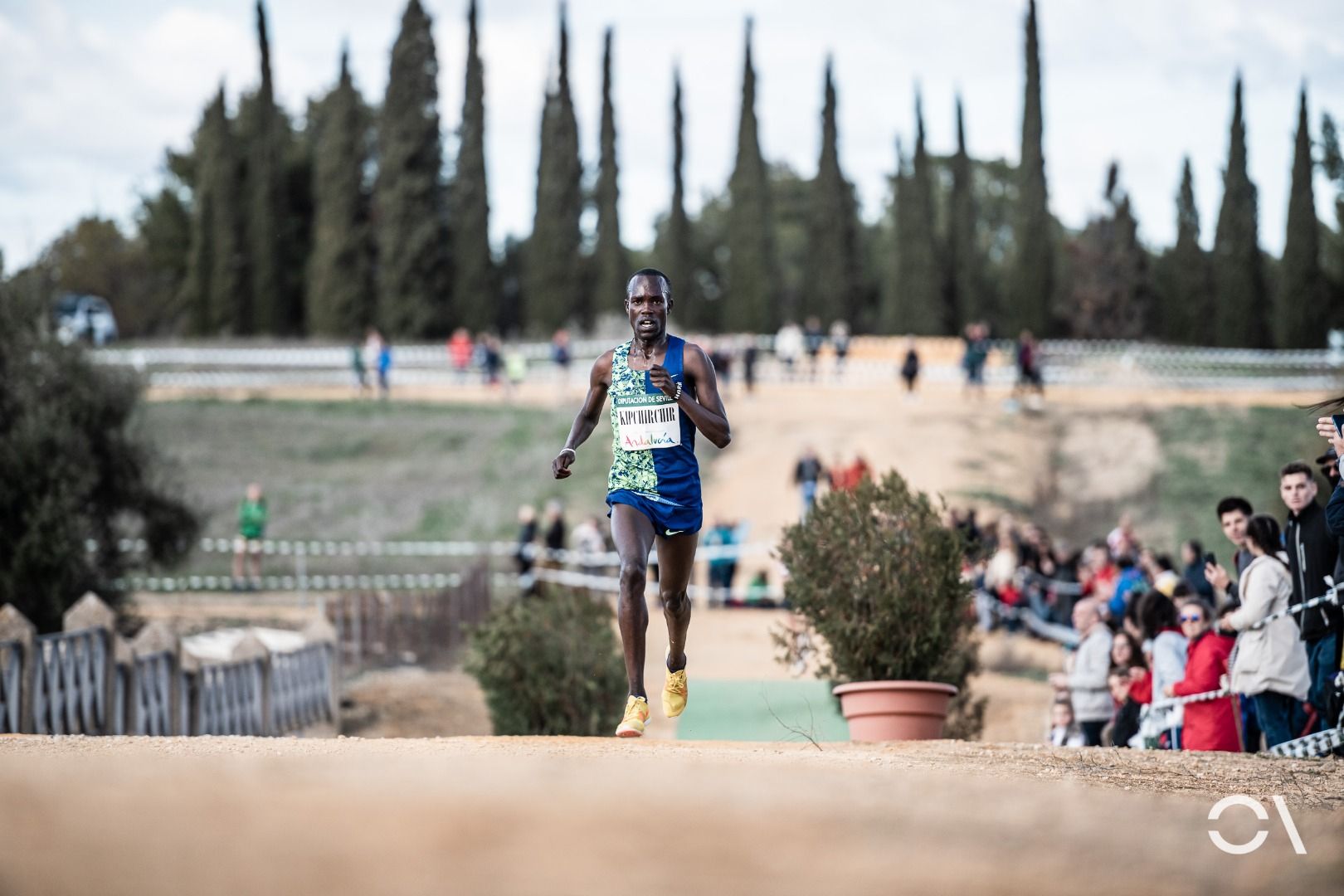 Cross de Itálica 2020 (GALERÍA 2)