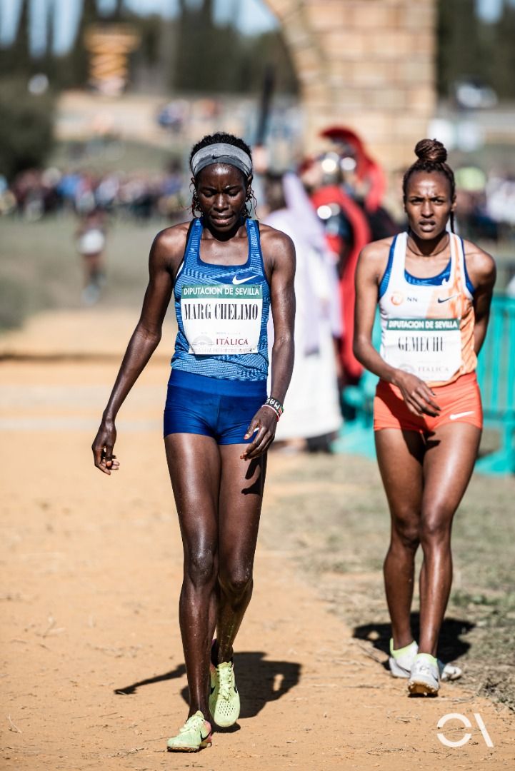 Cross de Itálica 2020 (GALERÍA 1)