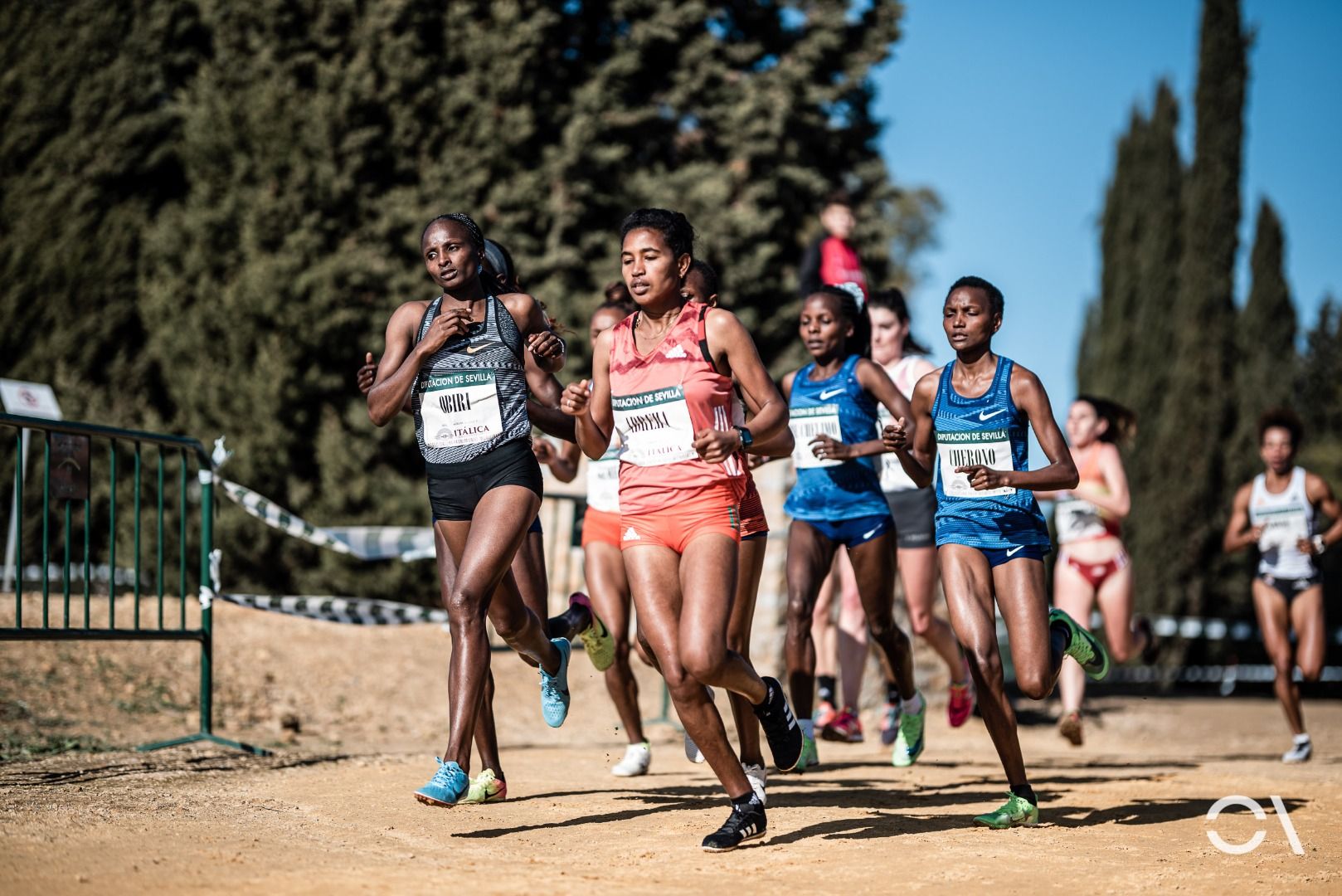 Cross de Itálica 2020 (GALERÍA 1)