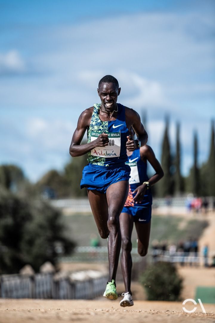 Cross de Itálica 2020 (GALERÍA 2)