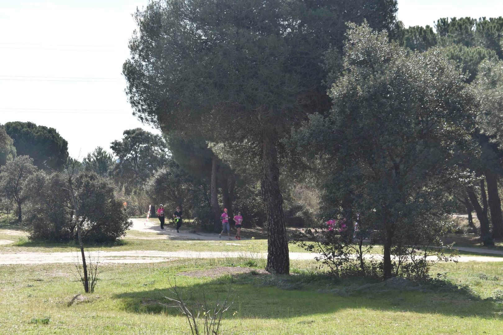 Las mejores fotos del Trail de la Mujer (RECORRIDO 8)
