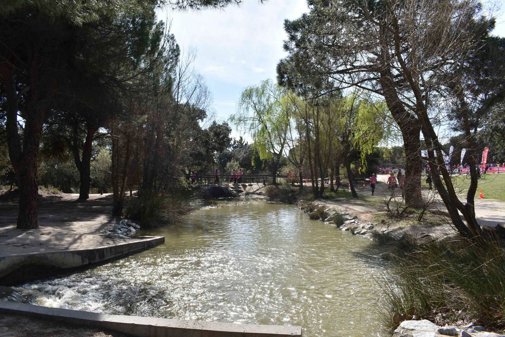 Las mejores fotos del Trail de la Mujer (RECORRIDO 10)