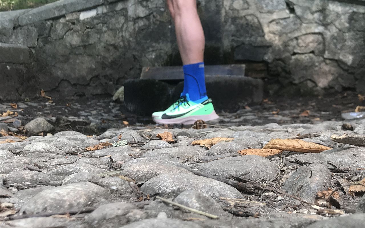 Nike Pegasus Trail 2