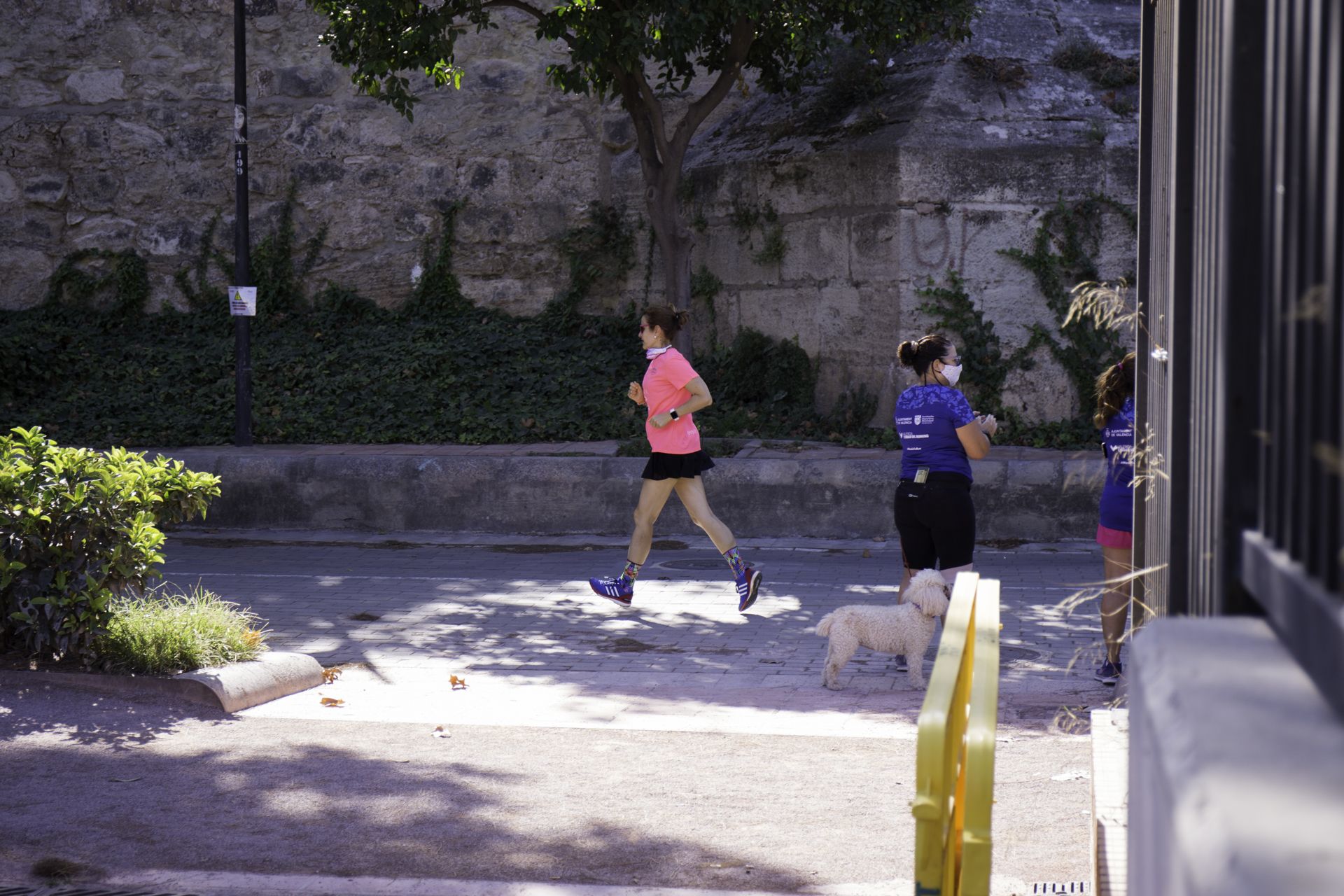 Las mejores fotos de la Carrera de la Mujer Virtual de Valencia 2020 (CARRERA)