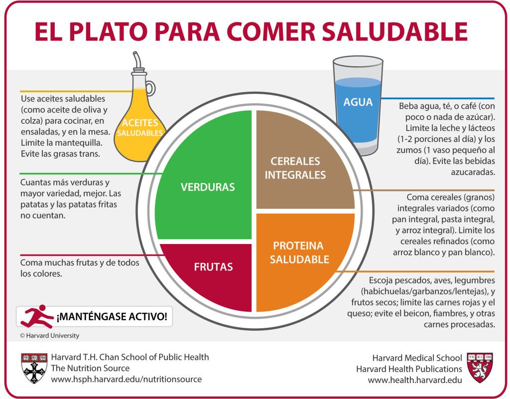 Plato de Harvard Plato de Harvard