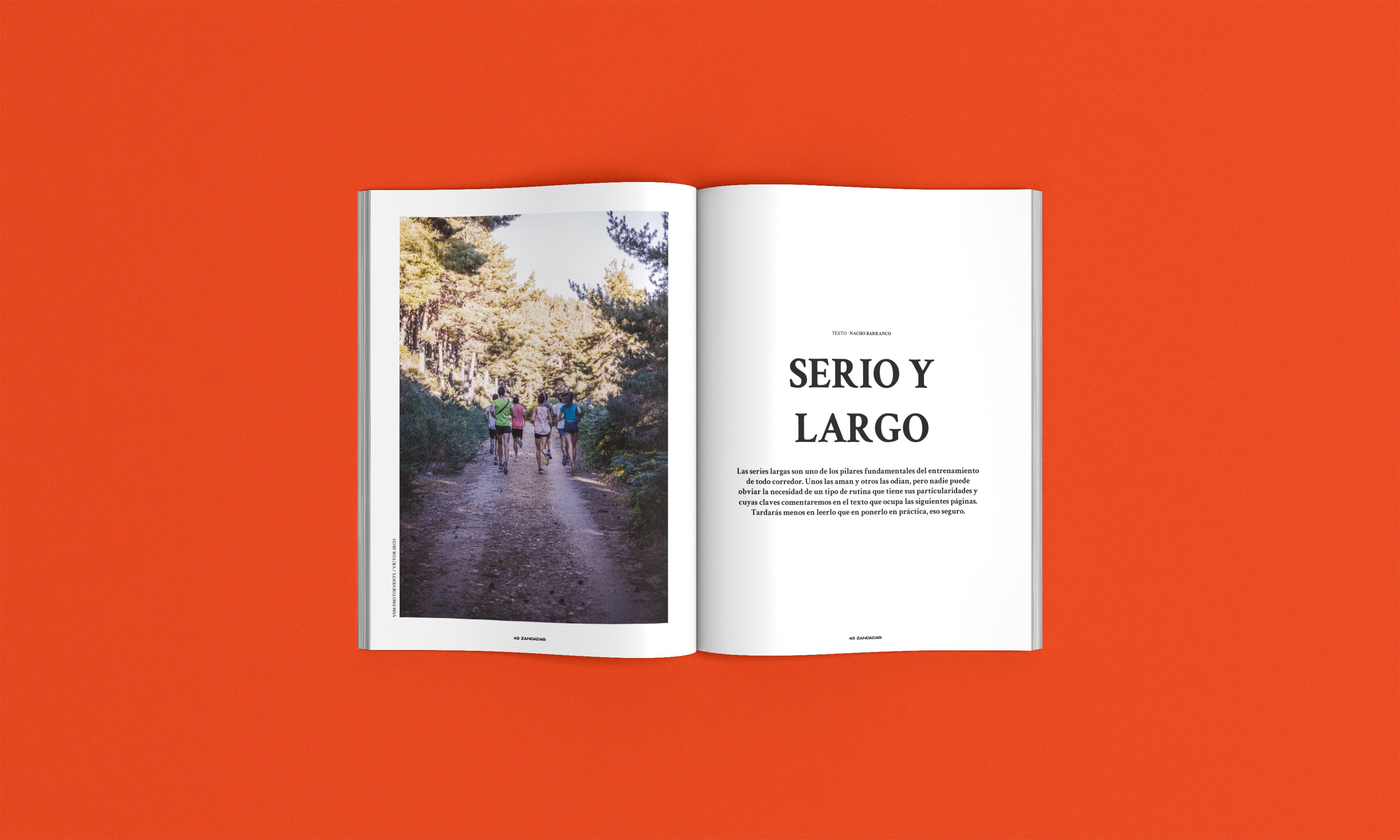 Un resumen de lo que te encontrarás en el número 19 de la revista Corredor