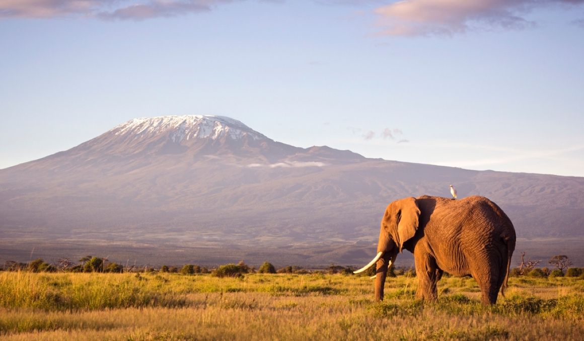 Haz realidad el sueño de subir el Kilimanjaro junto a Martín Fiz