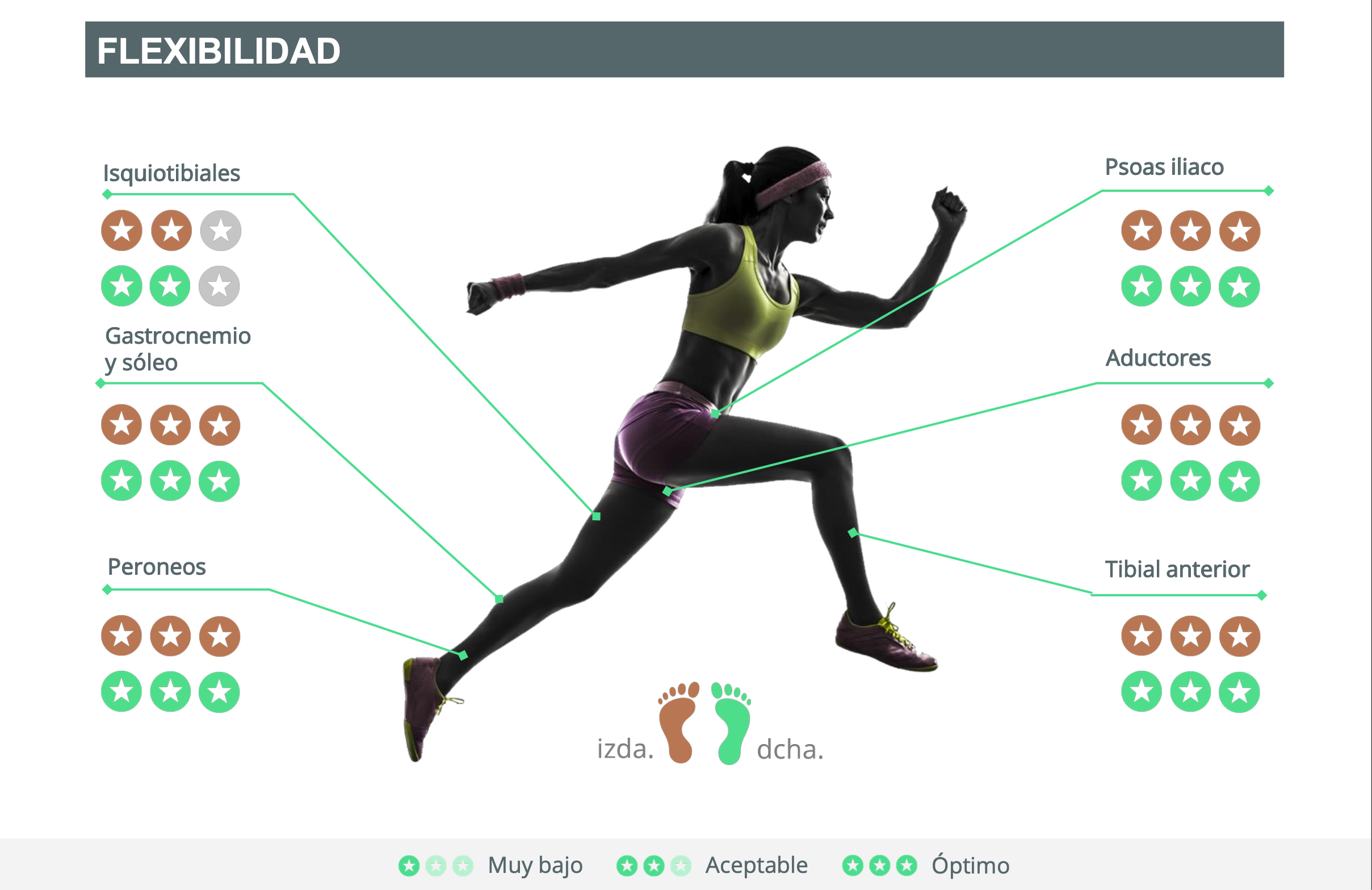 Visión general de la flexibilidad articular