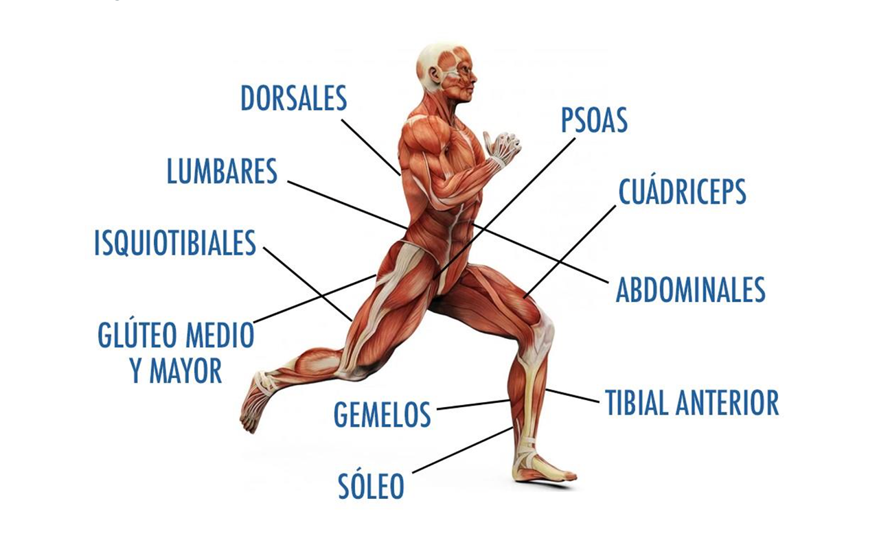 Evita lesiones antes de correr