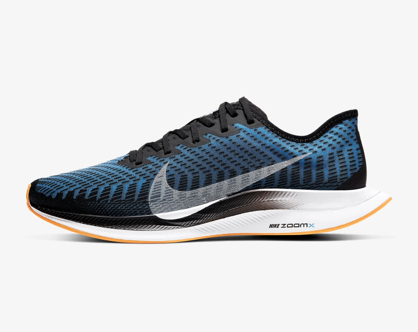 Historia de las Nike Pegasus (2004-2021)