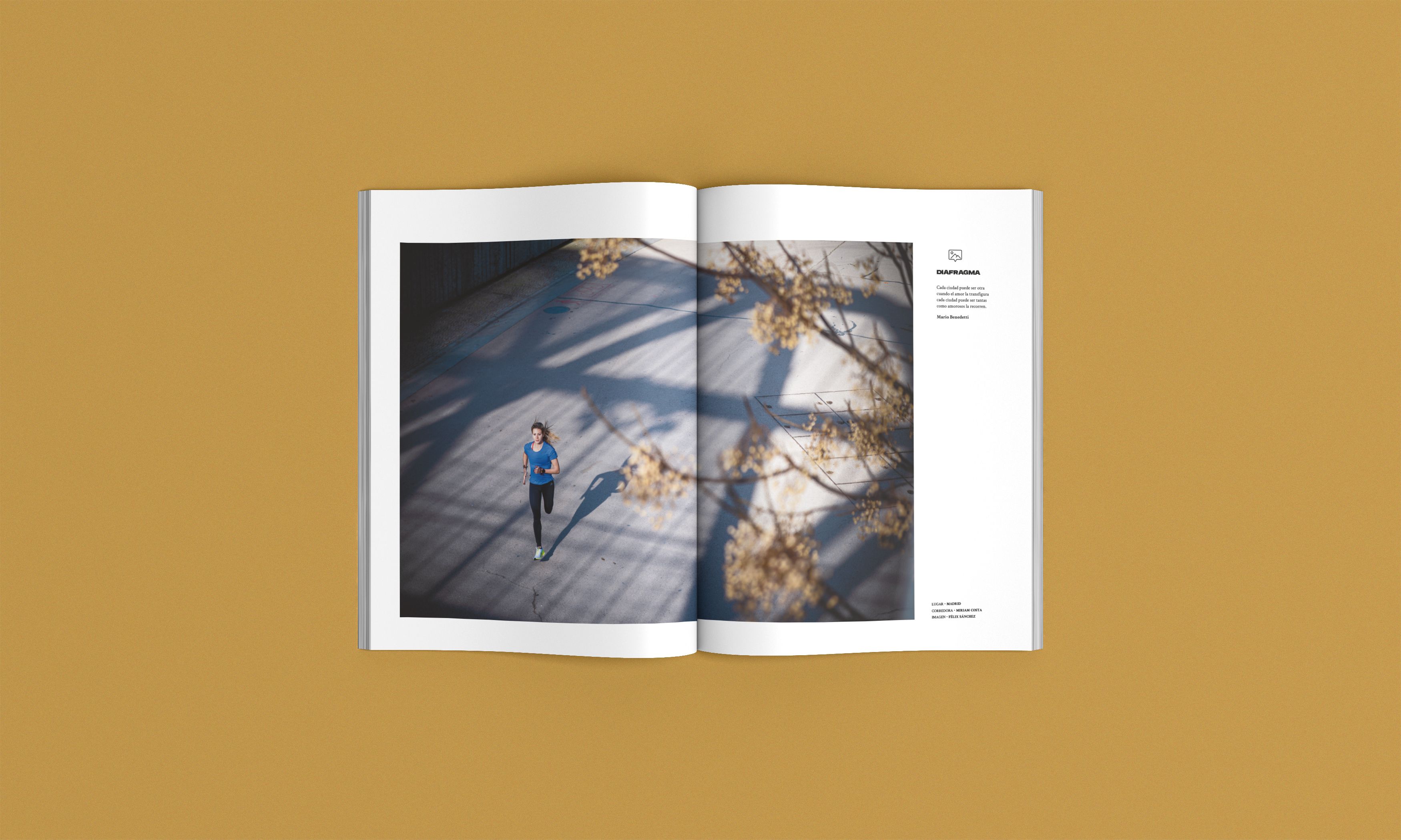 Así es el número 24 de la revista Corredor