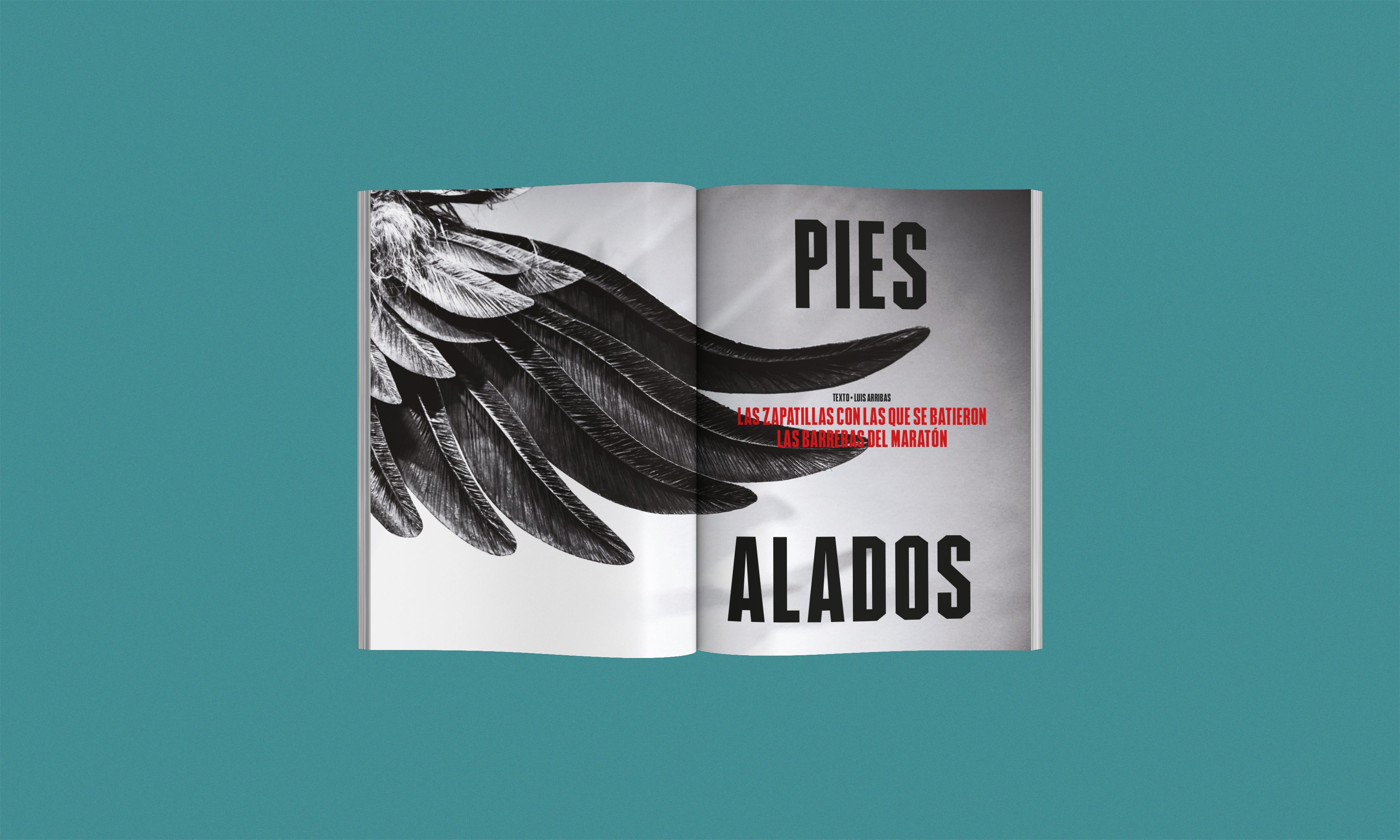 Así es el número 25 de la revista Corredor
