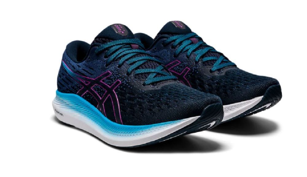 ASICS Evoride 2