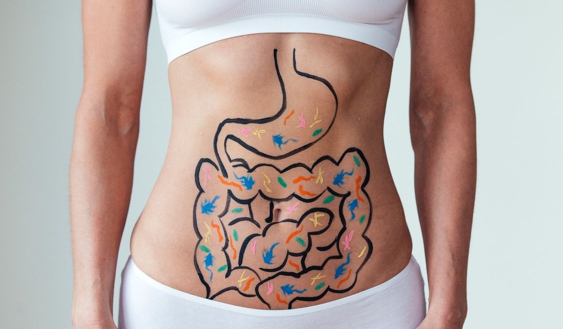 El papel de los prebióticos en la salud intestinal