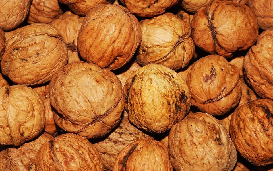 walnuts 101425 960 720