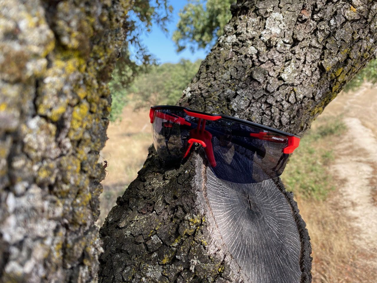 Julbo Ultimate Julbo Ultimate