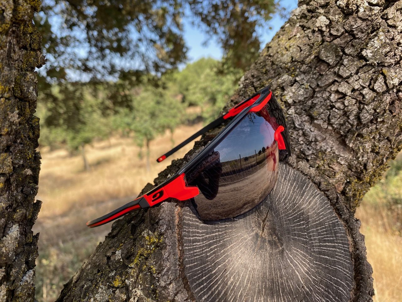 Julbo Ultimate
