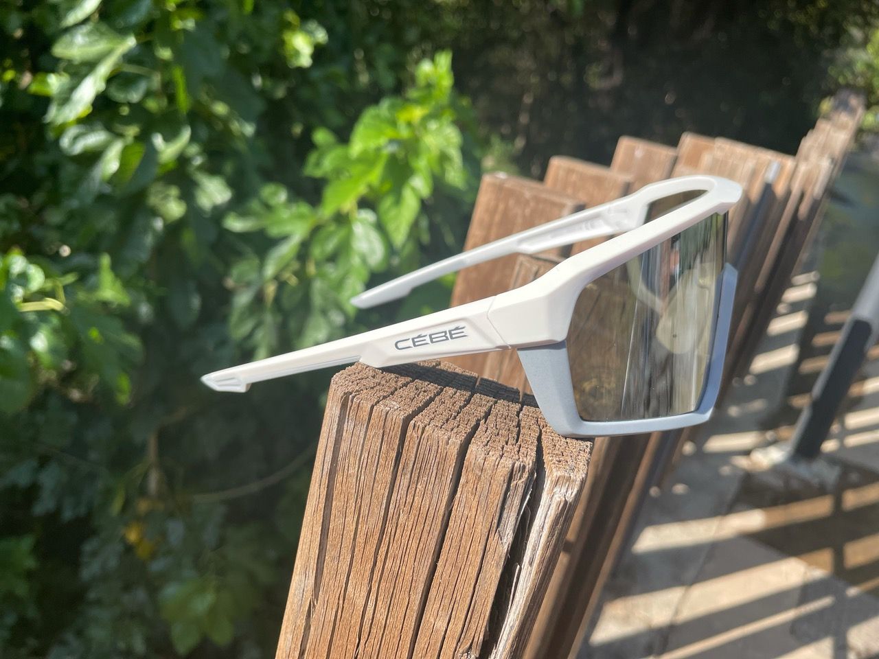 Gafas Cébé Asphalt