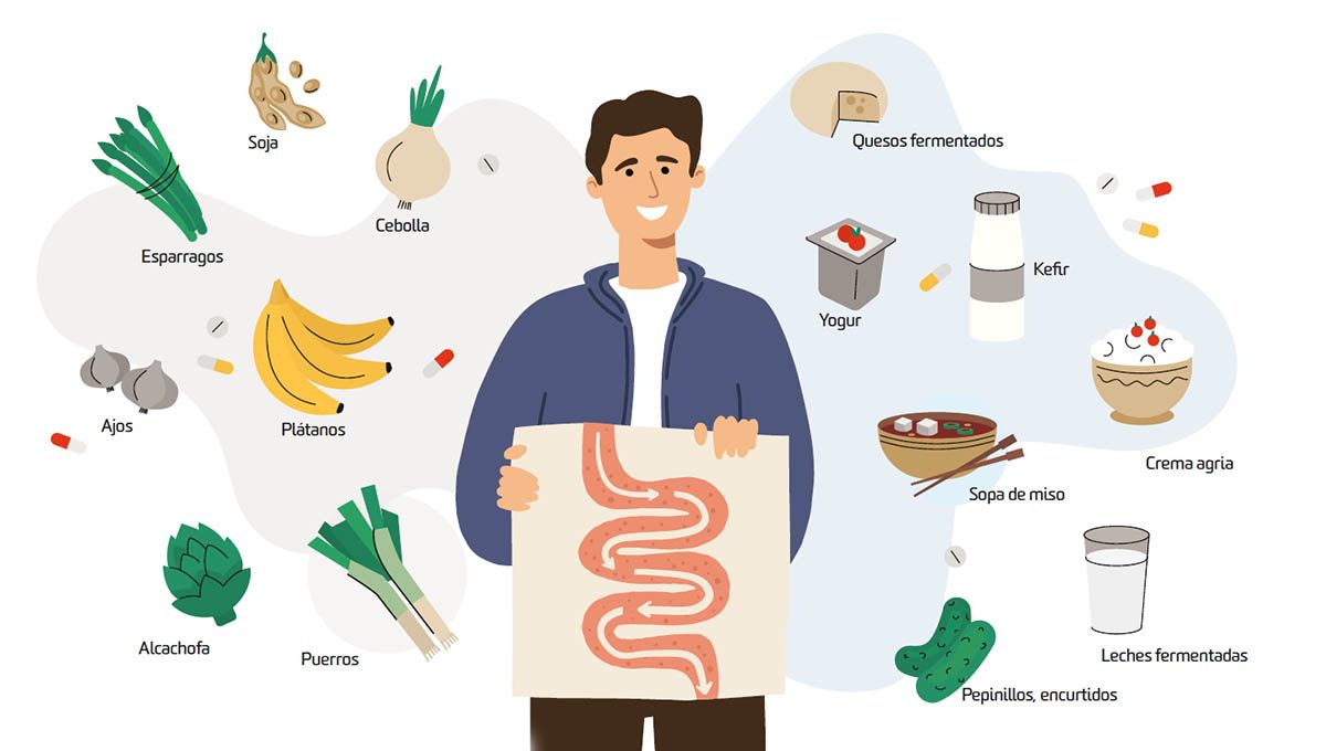 Probioticos Probioticos