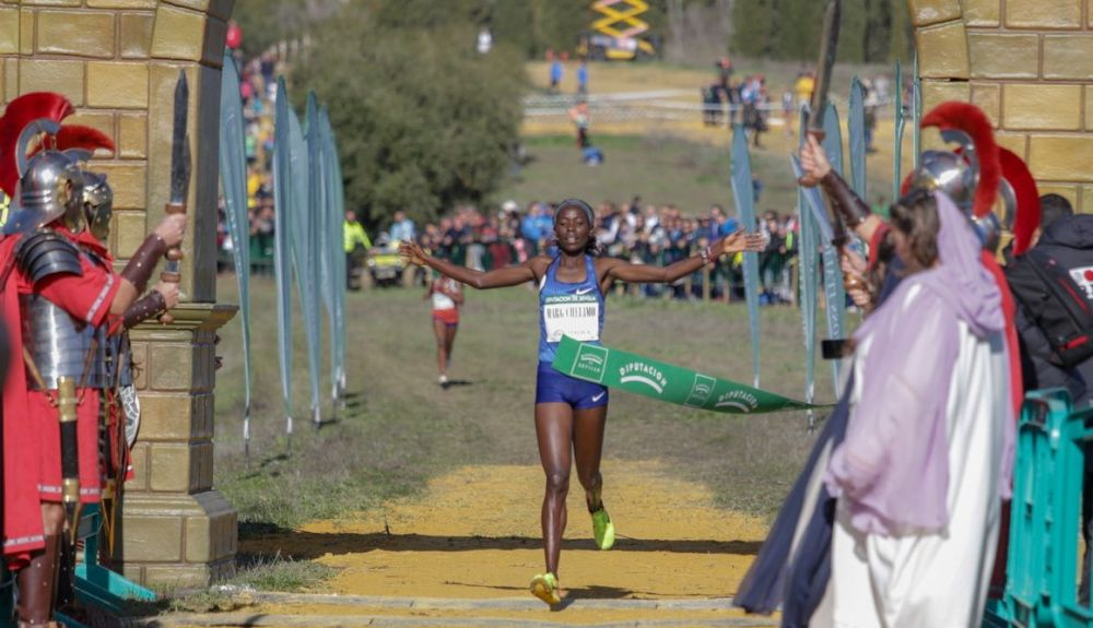 El cross de Itálica siempre reune a muchos de las mejores fondistas del mundo El cross de Itálica siempre reune a muchos de las mejores fondistas del mundo
