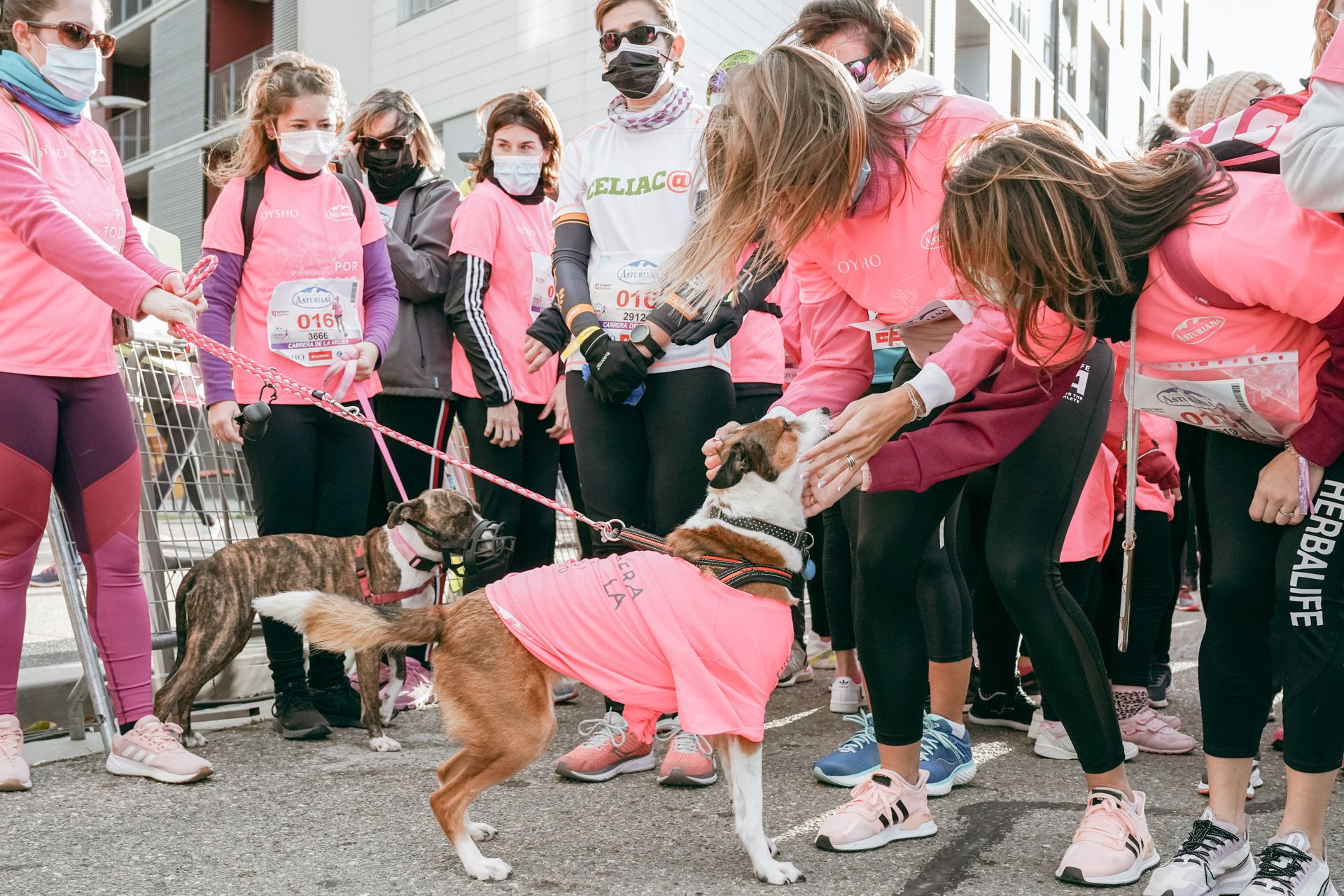 Las mejores fotos de la Carrera de la Mujer Central Lechera Asturiana Zaragoza 2021 (AMBIENTE DE SALIDA)