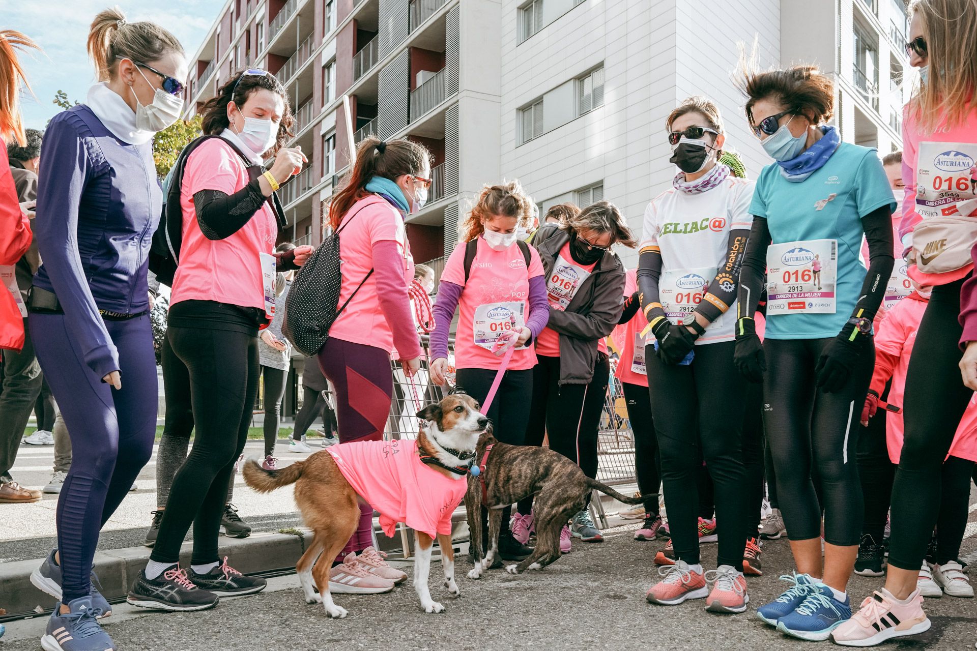 Las mejores fotos de la Carrera de la Mujer Central Lechera Asturiana Zaragoza 2021 (AMBIENTE DE SALIDA)